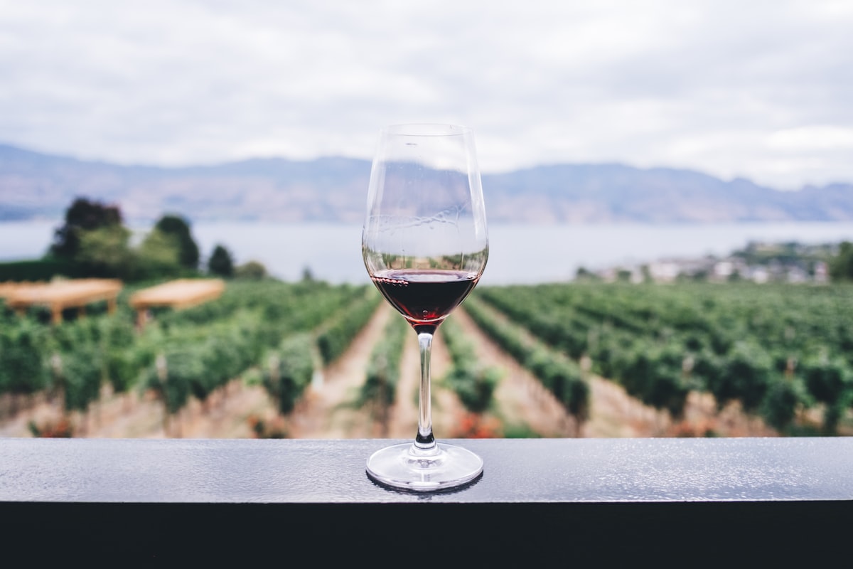 Vänner njuter av vin tillsammans
